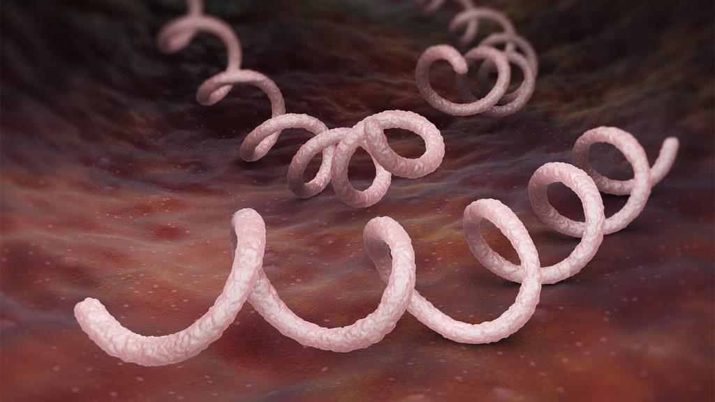 The Syphilis Surge Must Be Viewed as a Public Health Emergency