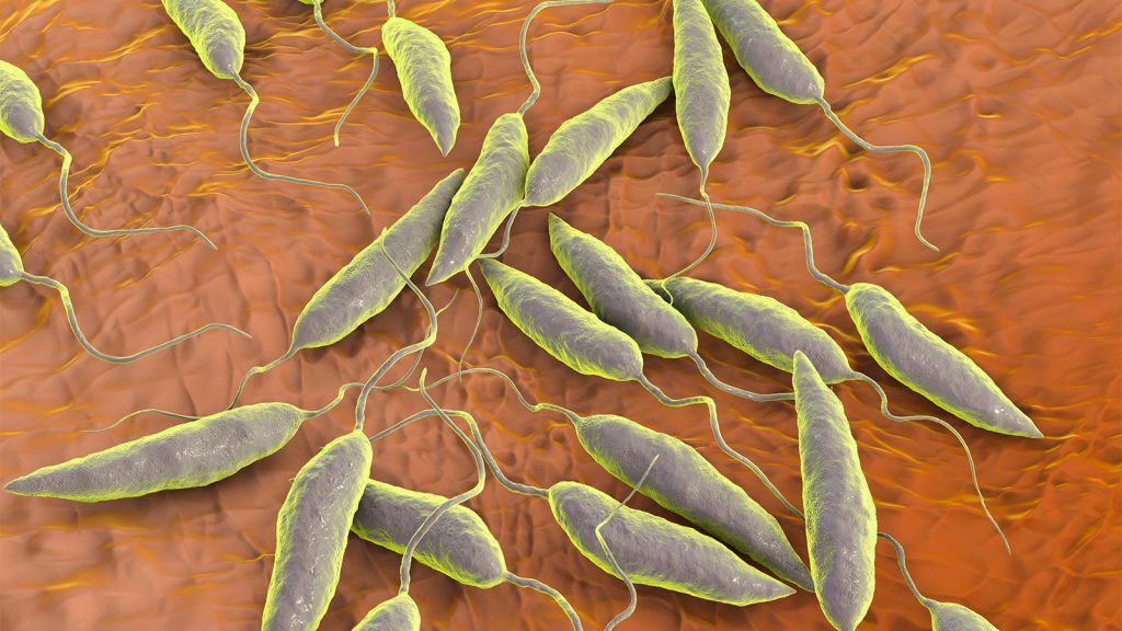 What's Eating Maddie's Knee?