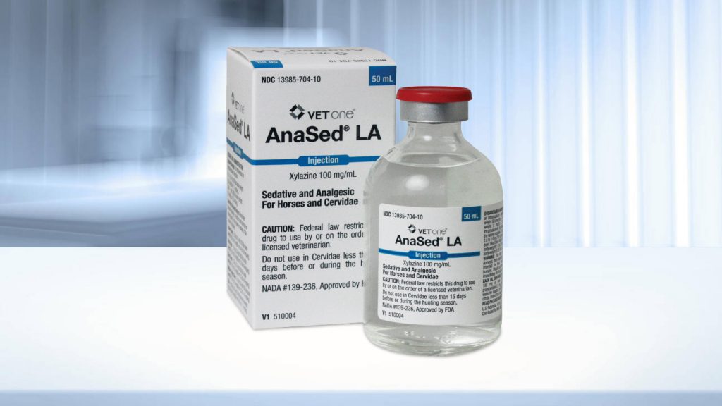 Xylazine: New Drug, Same Old Mistakes