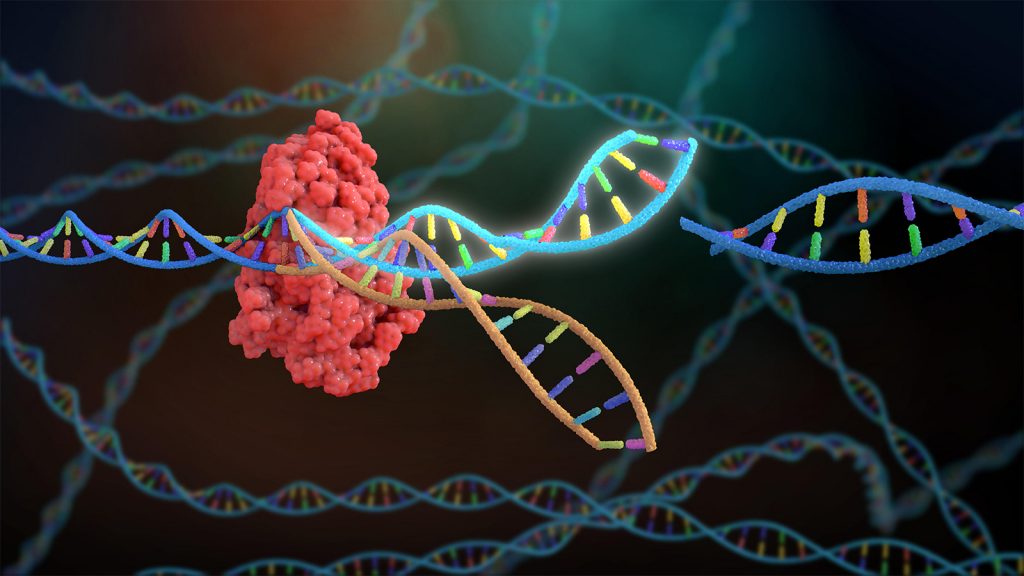 A Closer Look at the Approval of CRISPR/Cas9 Gene Therapy for Sickle Cell Disease