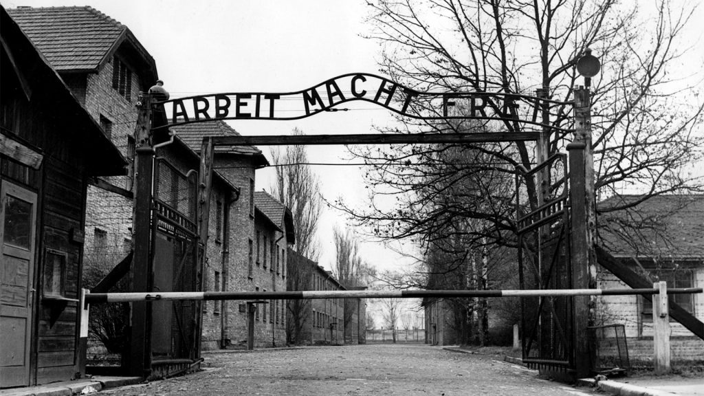Medicine, Nazism, and the Holocaust: Essential Lessons for Health Professionals