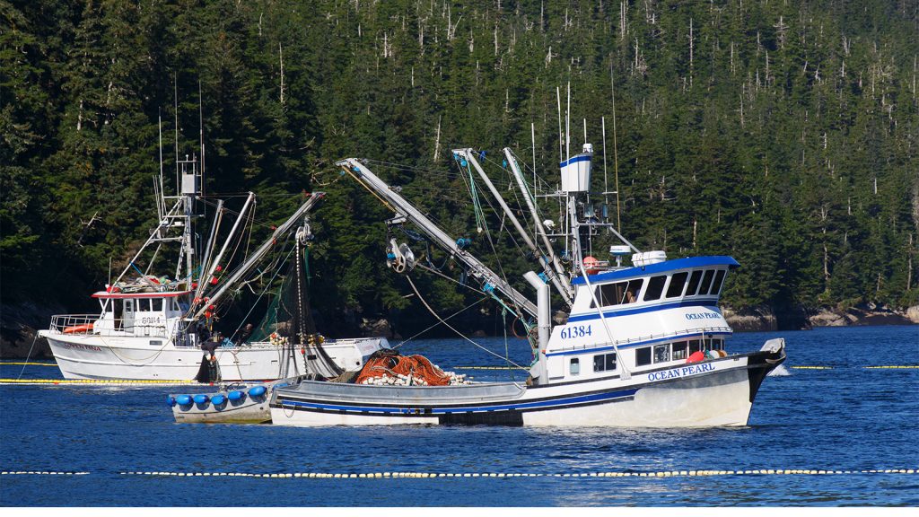 Two Obscure Cases about Fish May Disempower Health Agencies