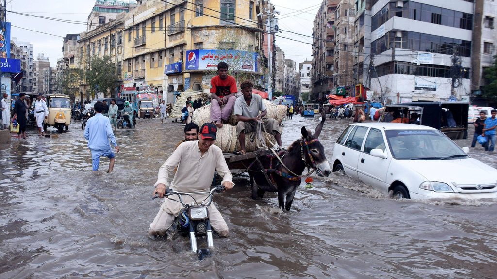 The Green Elephant in Medical School Classrooms