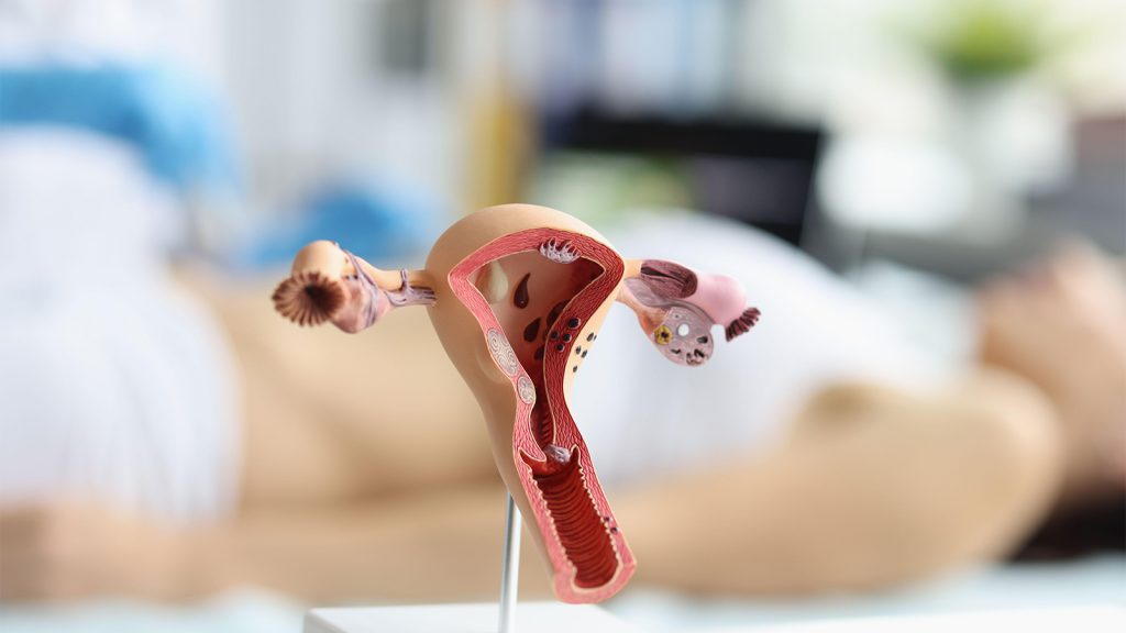 Here’s What I’m Looking For in an Ob/Gyn Residency: Comprehensive Training