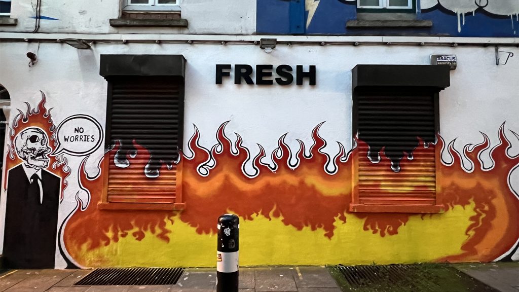 The Wildfires May Be Contained but their Impact on Youth Mental Health Is Raging