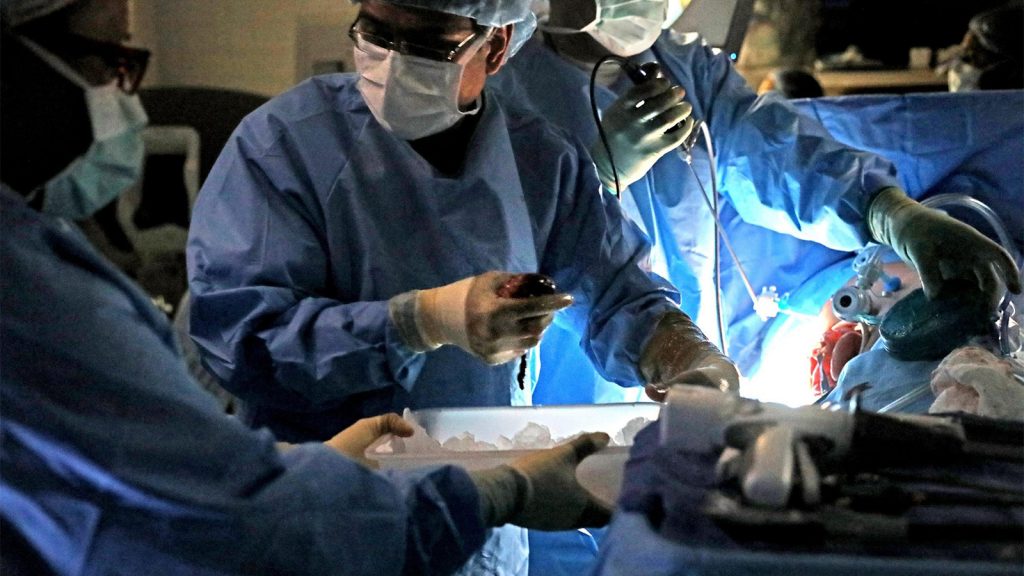 How ‘General Hospital’ Missed a Chance to Promote Living Organ Donation