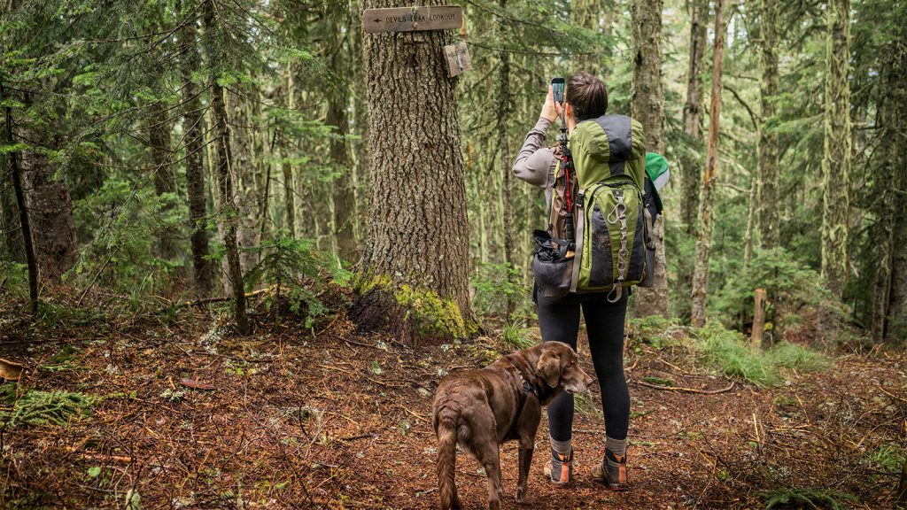 Sabbatical, Interrupted