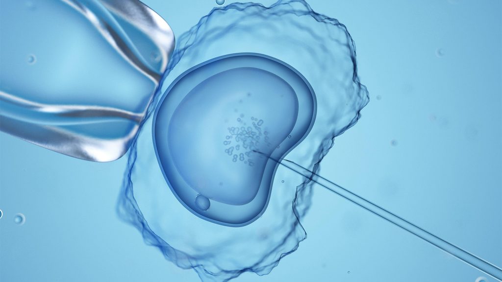 Separating Fact From Fiction in ‘Mini IVF’