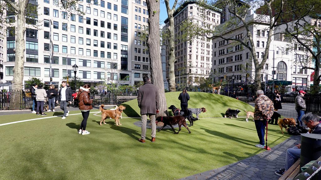 We Need to Change Our Healthcare System. Can We Find the Will to Do It?